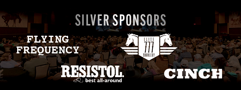 Silver Sponsors