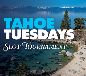 Tahoe Tuesday Art