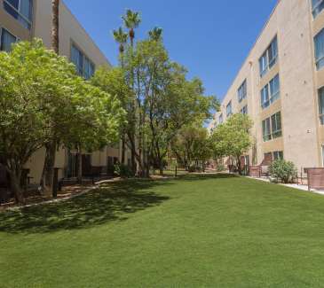 Pet Friendly Laughlin Hotel