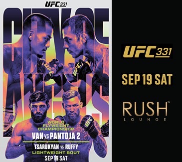 UFC 331